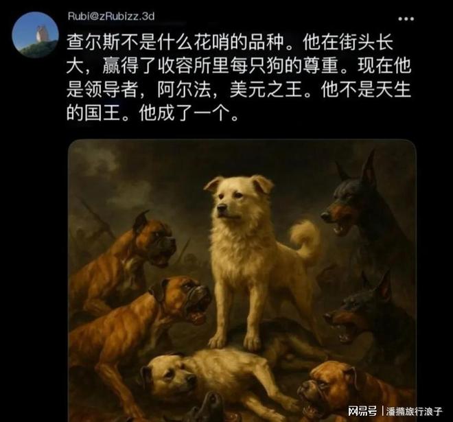 火！身价飙升至10万美元狗主人被扒麻将胡了贵州下司犬“查理国王”爆(图13)