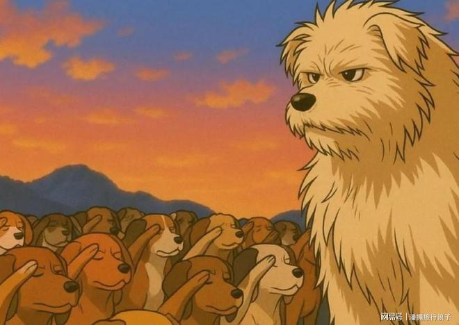 火！身价飙升至10万美元狗主人被扒麻将胡了贵州下司犬“查理国王”爆(图12)